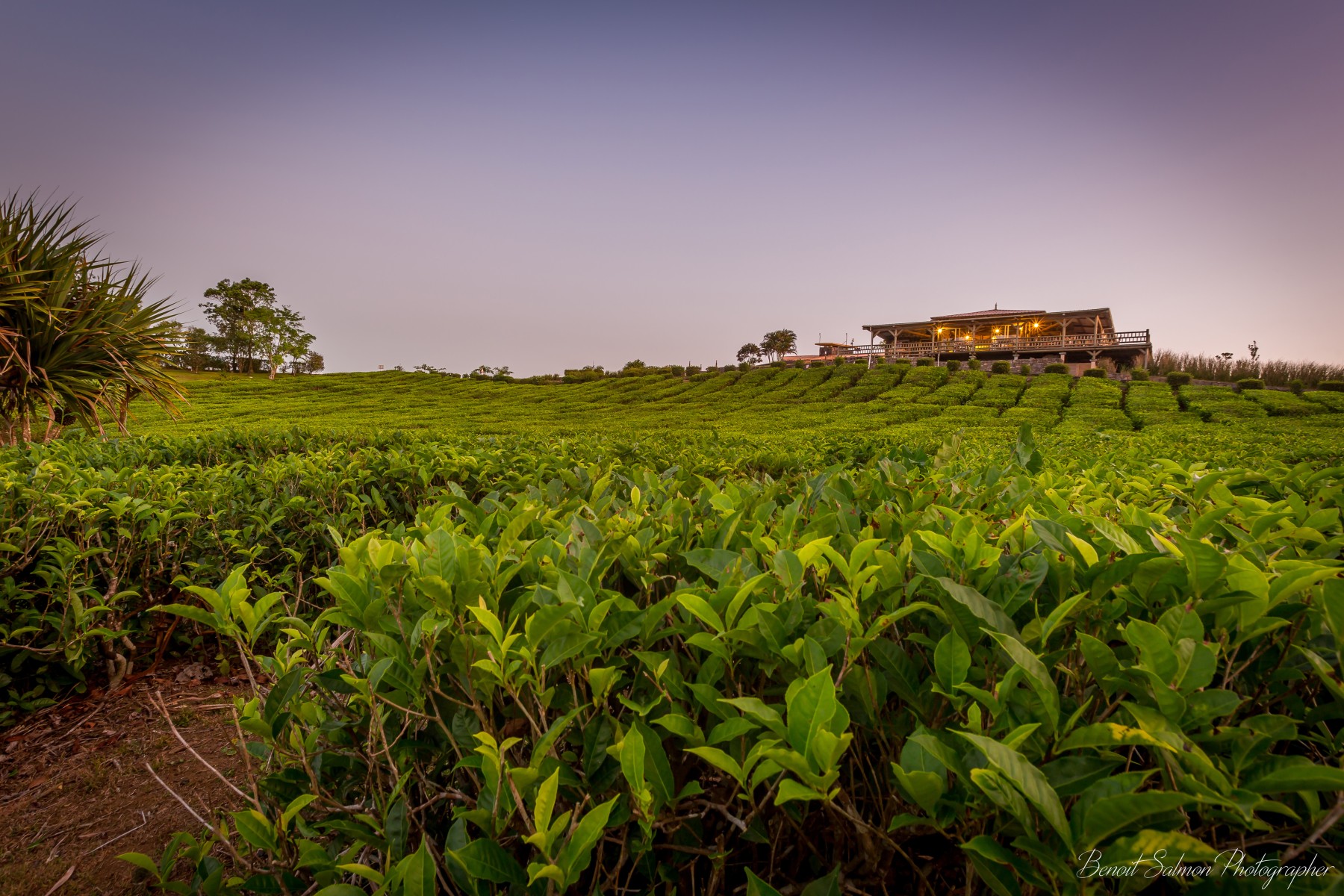 Bubble Lodge Bois Chéri